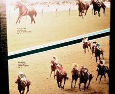 1984. Coolmore Stallions For 1984.