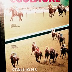 1984. Coolmore Stallions For 1984.