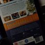 Adventureland ! DVD ! A Miramax Film Release ! 2010 !  Kristen Stewart, Jesse Eisenberg ! Image 4