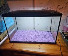 40 litre fish tank