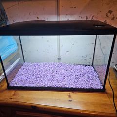 40 litre fish tank