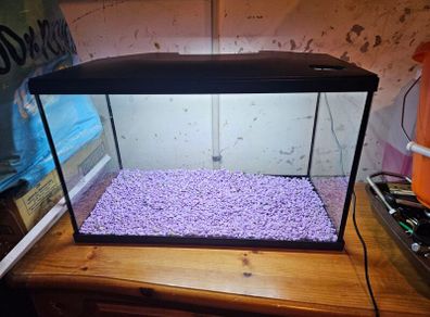 40 litre fish tank