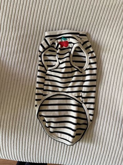 Small Dog Clothes Bundle