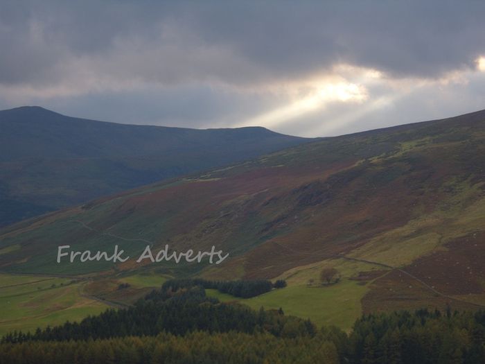Mounted Original Photography - Carrigroe, Wicklow