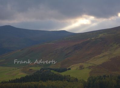 Mounted Original Photography - Carrigroe, Wicklow