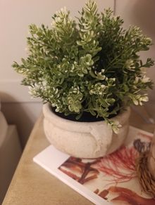 Stone pot