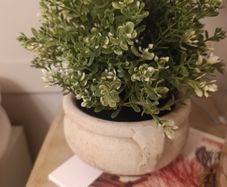 Stone pot