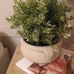 Stone pot