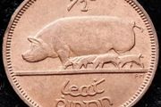 [#69] - Ireland 1964 | Irish 1/2d | Irish Half Penny | KM.10 | UNC