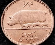[#69] - Ireland 1964 | Irish 1/2d | Irish Half Penny | KM.10 | UNC