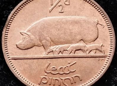 [#69] - Ireland 1964 | Irish 1/2d | Irish Half Penny | KM.10 | UNC
