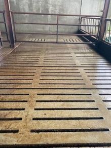 Power washing neral maintenance