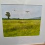 Don Conroy Watercolor Image 4