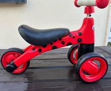 Diditrike - ladybird