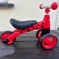 Diditrike - ladybird