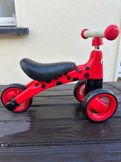 Diditrike - ladybird