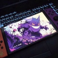 Modded Nintendo switch older Pokemon edition