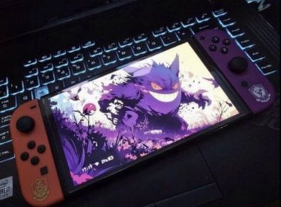 Modded Nintendo switch older Pokemon edition