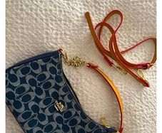 Coach Teri bag