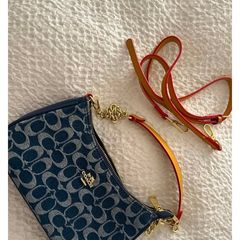 Coach Teri bag