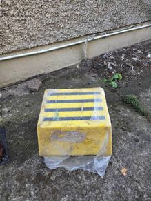 Step stool