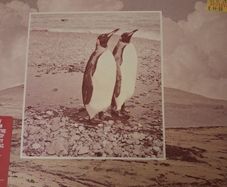 1969-74 Fleetwood Mac 2LP - The best of 1969-1974 - Gatefold - NM