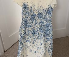 Hobbs dress