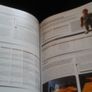 Kingdoms of Amalur RECKONING Guide Image 8