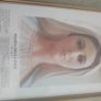 Holly Framed Print Of Regina Della Pace Magnificat Image 5