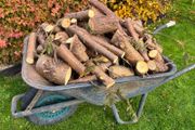 Fire Wood dry big barrow full.