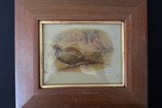 Pair of Antique Framed Game Bird Prints by Charles Whymper (c. 1900)