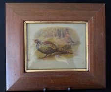 Pair of Antique Framed Game Bird Prints by Charles Whymper (c. 1900)