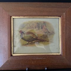 Pair of Antique Framed Game Bird Prints by Charles Whymper (c. 1900)