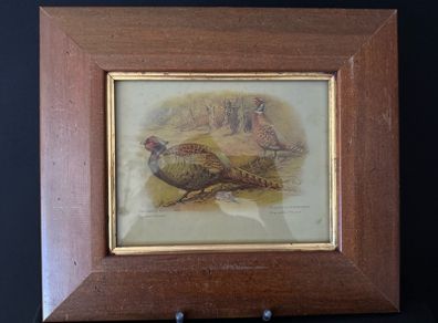 Pair of Antique Framed Game Bird Prints by Charles Whymper (c. 1900)