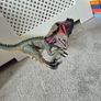Dinosaurs Image 6