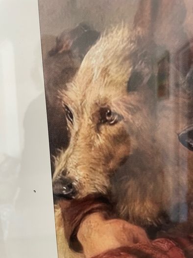 Beautiful Scottish highland print