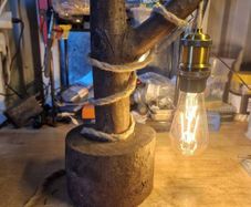 Handcrafted Livewood lamp