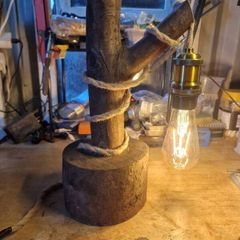 Handcrafted Livewood lamp