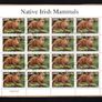 2002 Ireland Native Irish Mammals (41c Badger, 50c Otter, 57c Red Squirrel & E1 Hedgehog) Commemorative Stamp Sheetlet Fine Used with Dublin CDS cancel of 23rd April 2002 (Frist day of issued) on envelope extract. Image 3