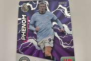 Panini Erling Haaland Card