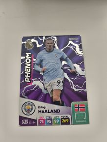 Panini Erling Haaland Card