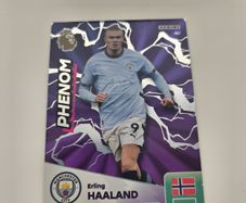 Panini Erling Haaland Card