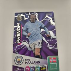 Panini Erling Haaland Card