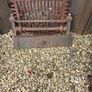 cast iron fireplace insert Image 2