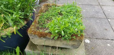 Stone trough/planter