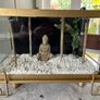 Small Aquarium Image 2