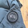 canada goose Image 5