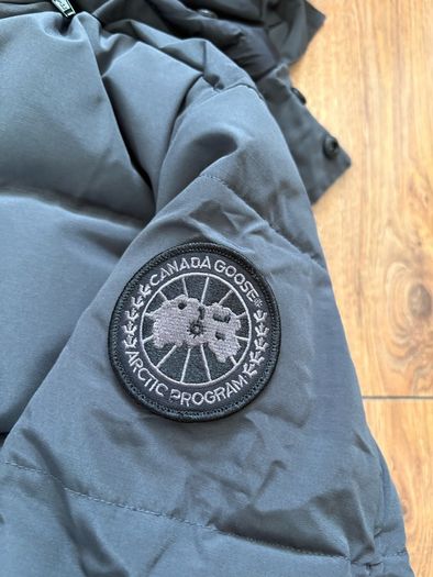 canada goose