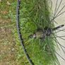 Mavic wheels Image 4