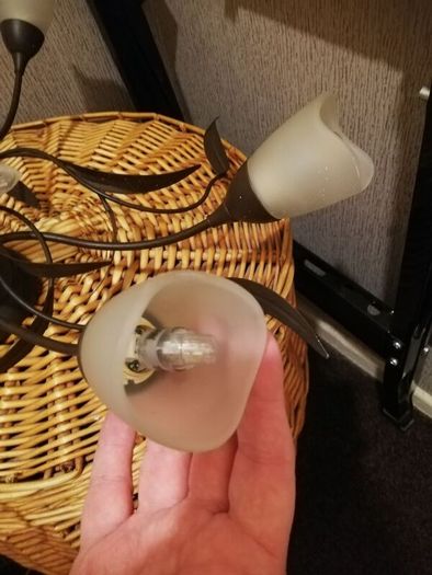 Light
